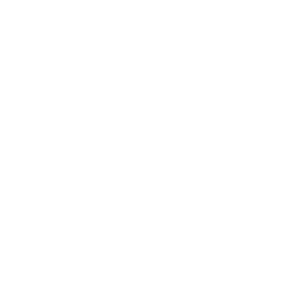 Lack of ransomware readiness