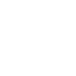Ransomware or security breach threats