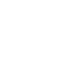 Full resolving service